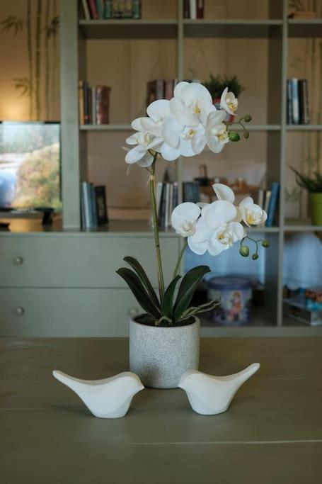 Apartment With Garden In Thessaloniki. Eksteriør bilde